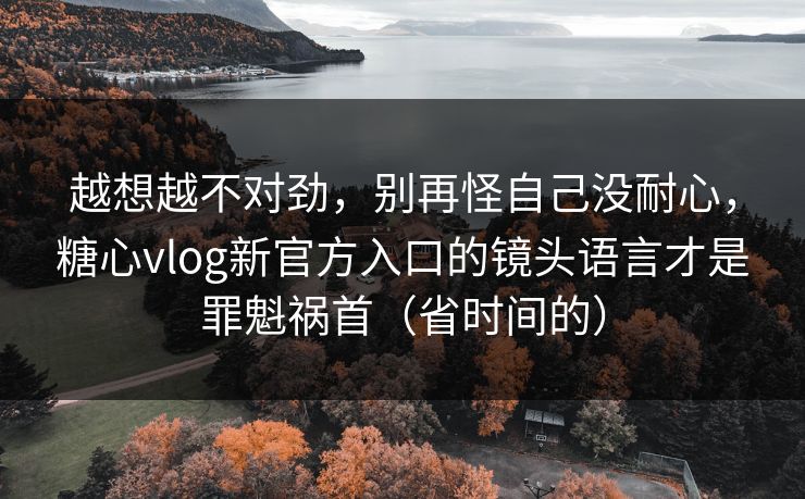 越想越不对劲，别再怪自己没耐心，糖心vlog新官方入口的镜头语言才是罪魁祸首（省时间的）  第1张