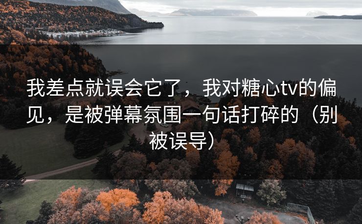 我差点就误会它了，我对糖心tv的偏见，是被弹幕氛围一句话打碎的（别被误导）  第1张