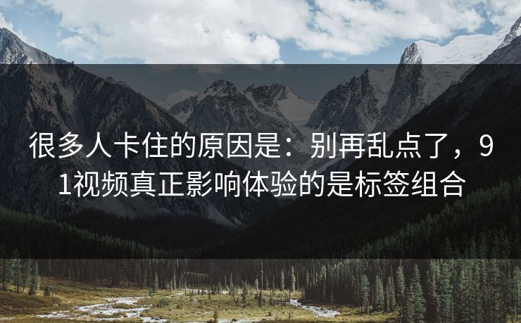 很多人卡住的原因是：别再乱点了，91视频真正影响体验的是标签组合  第1张