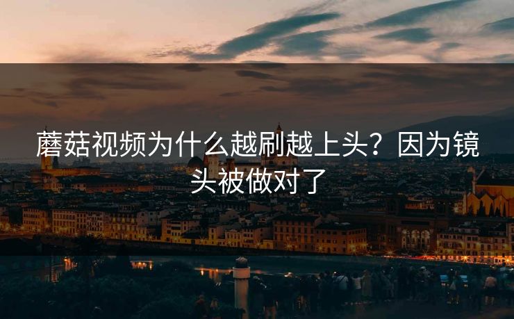 蘑菇视频为什么越刷越上头？因为镜头被做对了