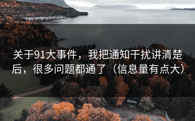关于91大事件，我把通知干扰讲清楚后，很多问题都通了（信息量有点大）