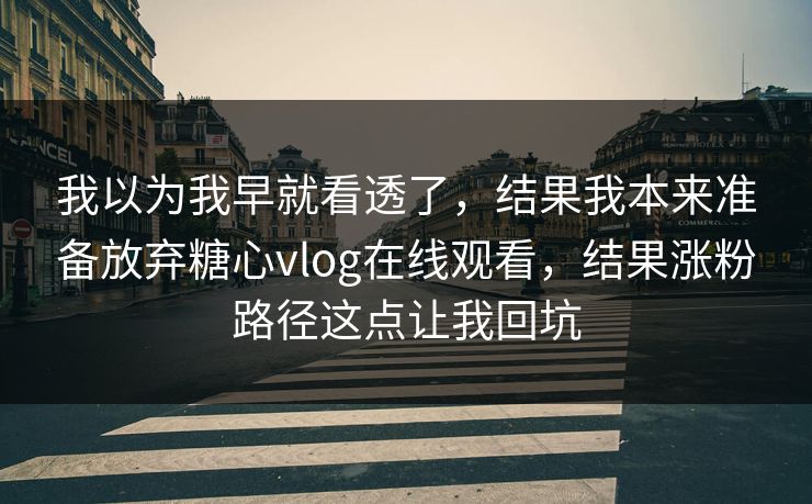我以为我早就看透了，结果我本来准备放弃糖心vlog在线观看，结果涨粉路径这点让我回坑